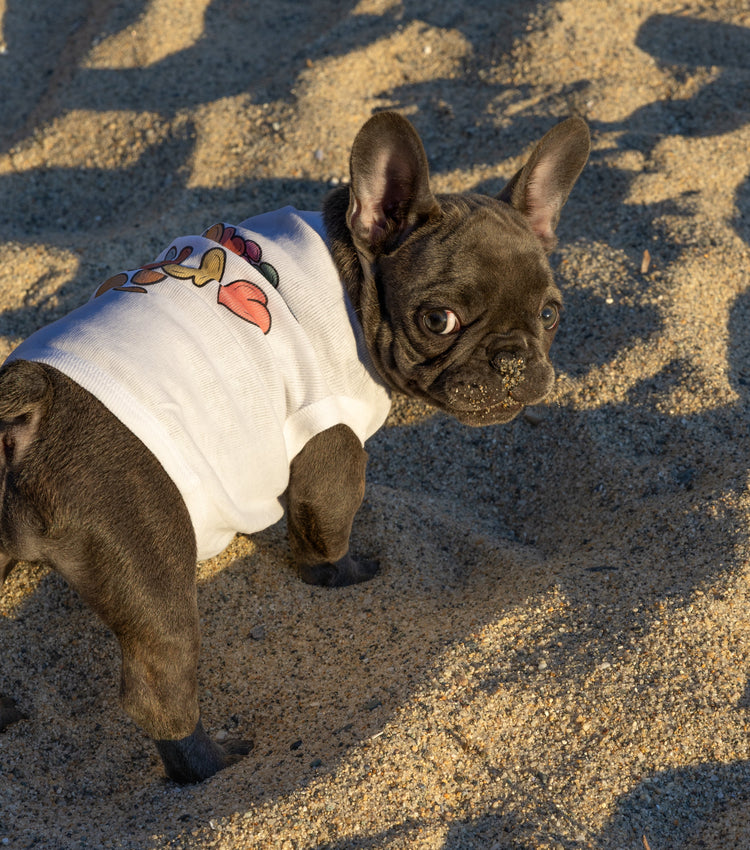 Zoe's Pack Collection of graphic tees for dogs