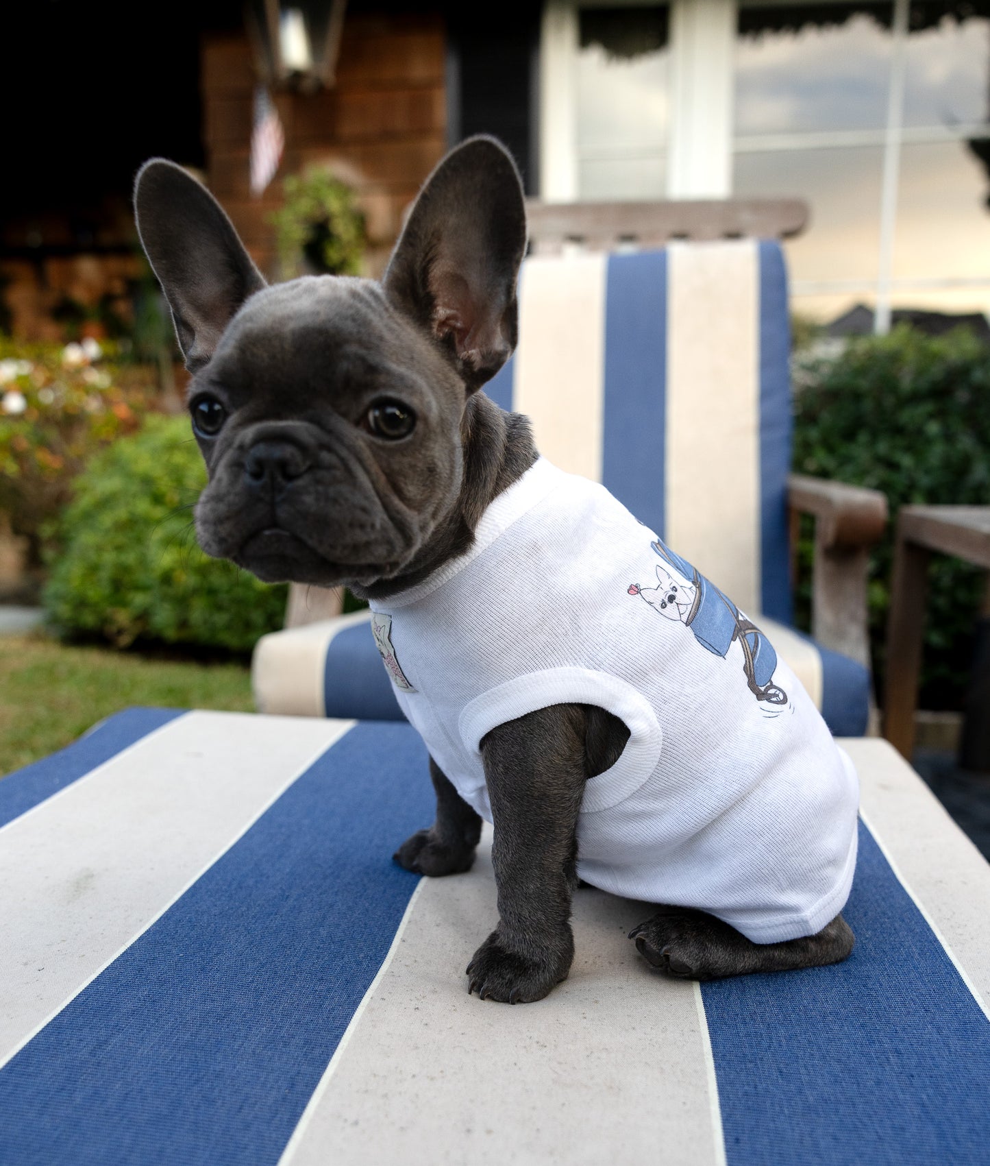 Enjoy Your Ride Hand-Illustrated Artist Designed Dog Tee