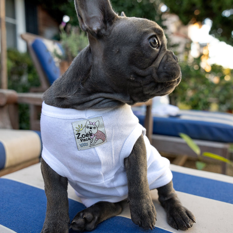Small dog wearing a white shirt with a logo  Zoe's Pack on a woven label 