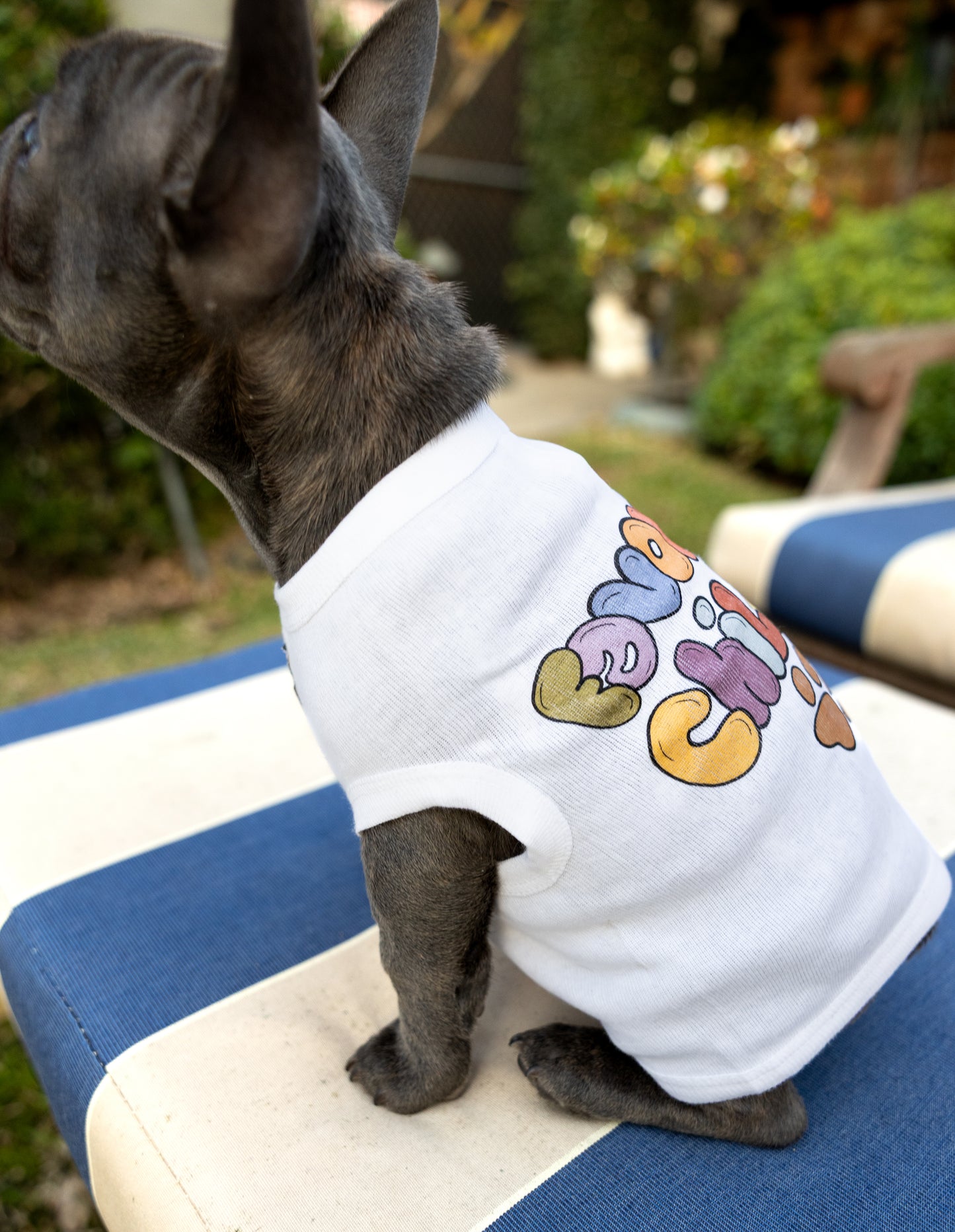 A French Bulldog wearing a white cotton tee with Favorite Child written in colorful hand-drawn letters.