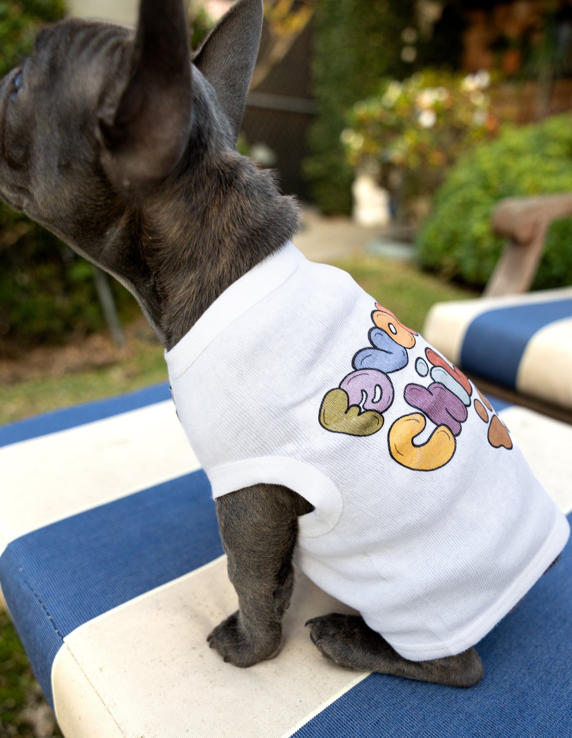 A French Bulldog wearing a white cotton tee with Favorite Child written in colorful hand-drawn letters.