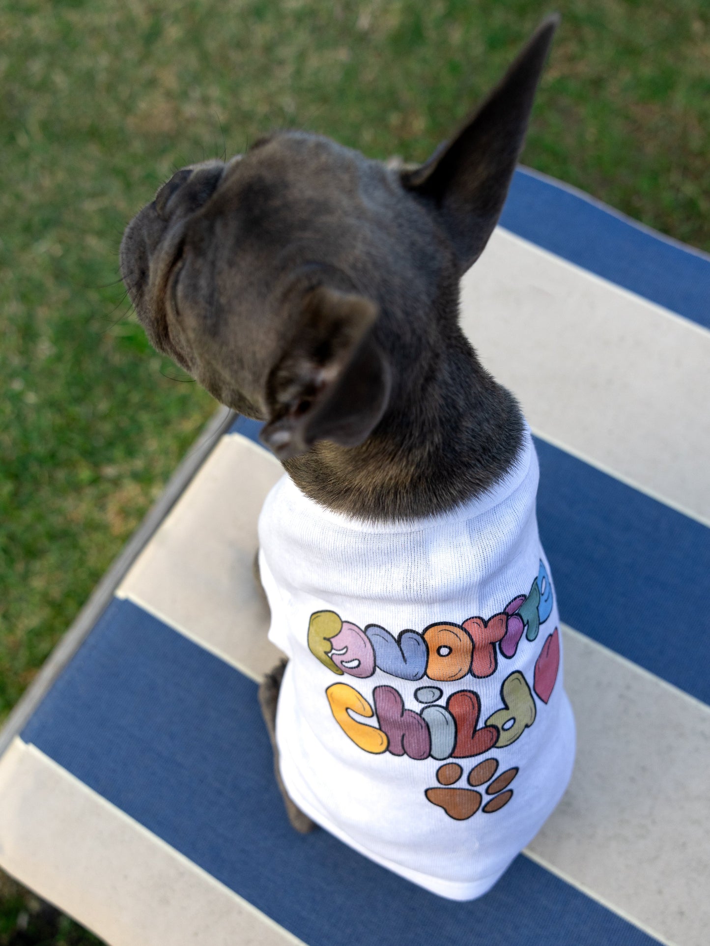 Favorite Child Hand-Illustrated Artist Designed Dog Tee