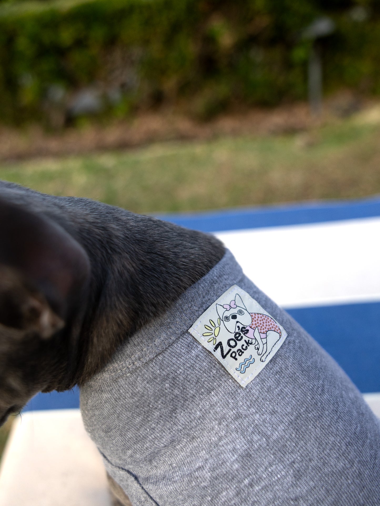 Zoe's Pack Essential Grey Artist Designed Dog Tee