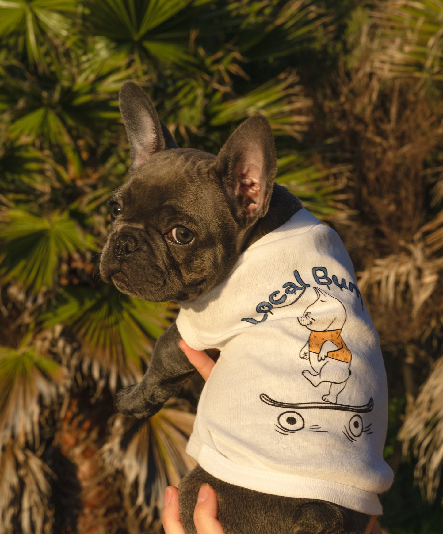 Local Bum Hand-Illustrated Artist Designed Dog Tee
