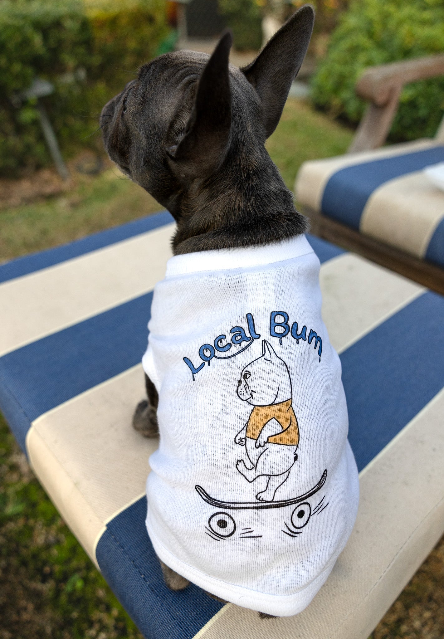 A French Bulldog wearing a white cotton dog tee with a hand-drawn illustration of a dog on a skateboard.