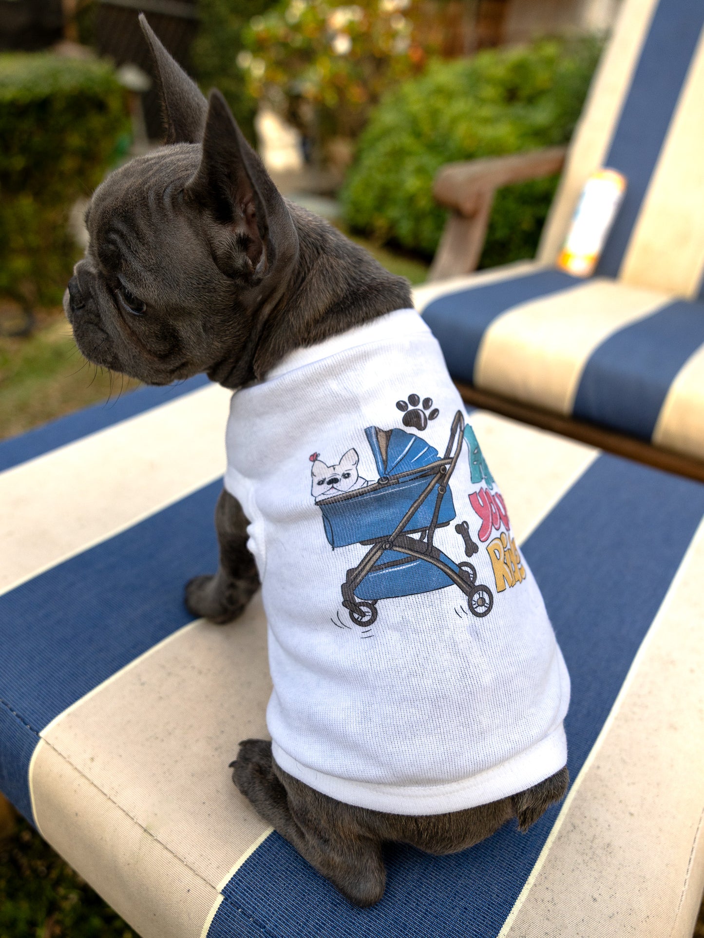 Enjoy Your Ride Hand-Illustrated Artist Designed Dog Tee