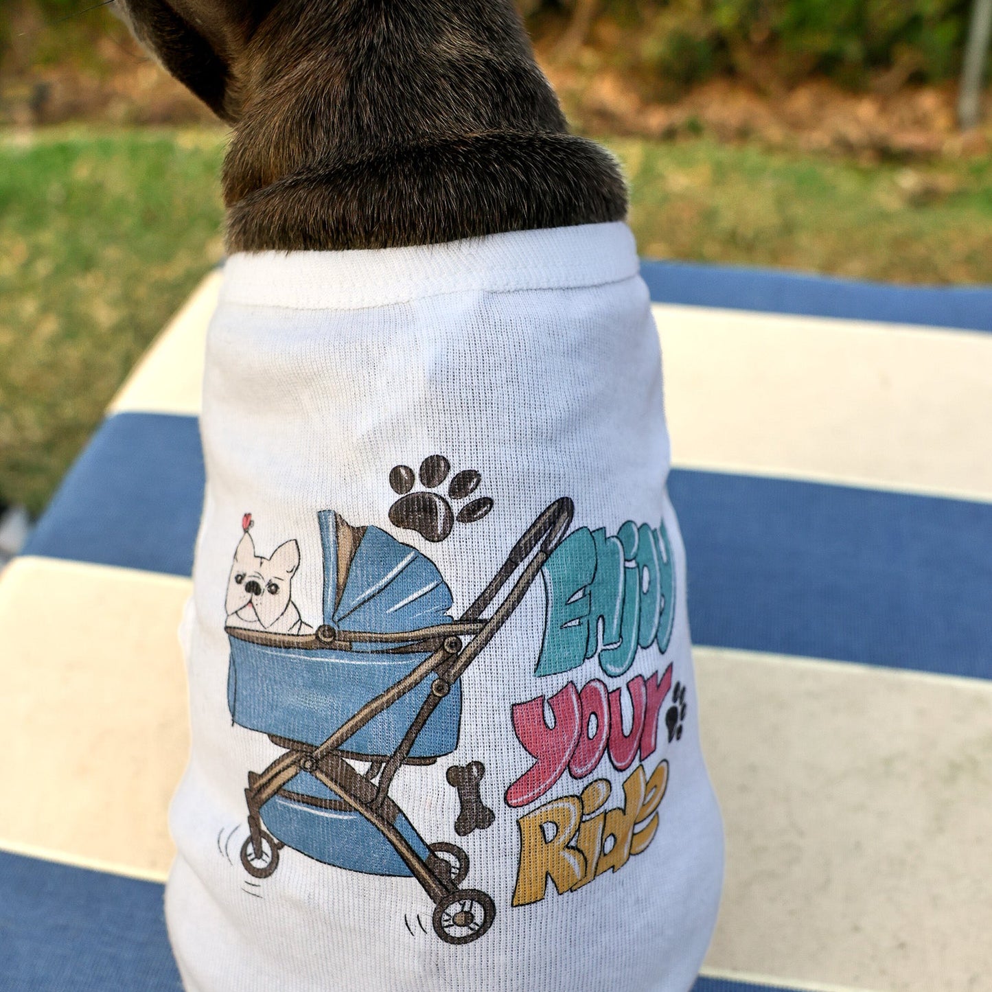A Frenchie wearing a white cotton dog tee with an illustration of a pet in a dog stroller.